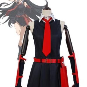 Akame ga KILL! Night Raid Akame Cosplay Costume